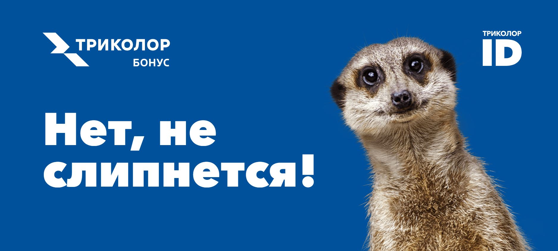 Триколор Коломна - Главная